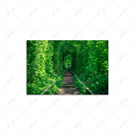 (MDF) لوحة فنية سكة حديدية في الغابة الربيعية