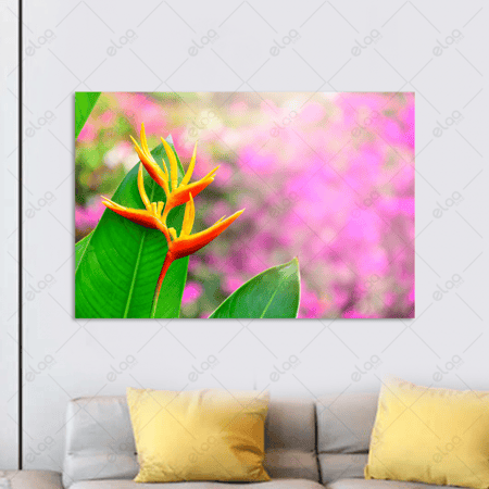 لوحة فنية زهرة القرنفل الاستوائية