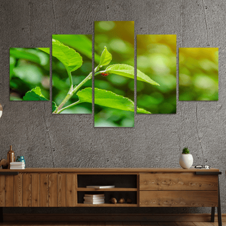 طقم 5 لوحات مقسمة #G5303