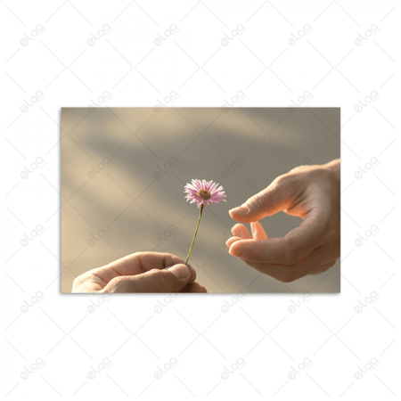 (MDF) لوحة فنية لزهرة برية