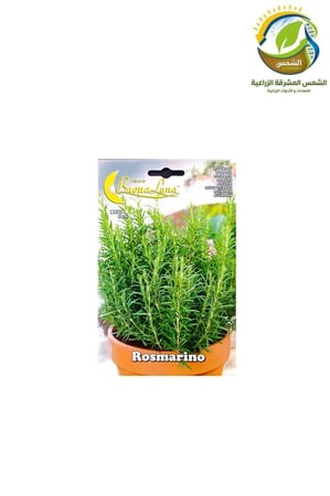 بذور روزماري اكليل الجبل باكيت ايطالي