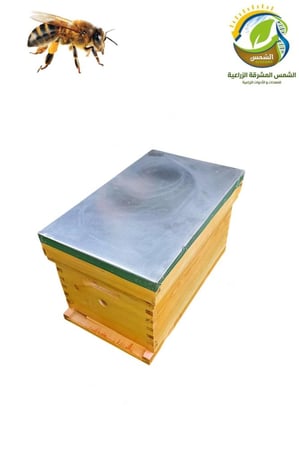 خلية نحل فرنجي بدون براويز مقاسات متعددة