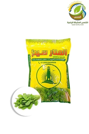 بذور جرجير 1كغم المنار