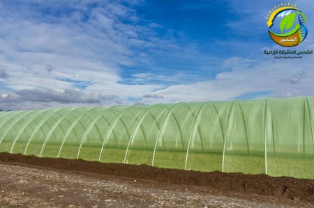 لفة شرائح بلاستيكية نايلون 71متر  وعرض خمسة ونصف متر للبيوت المحمية