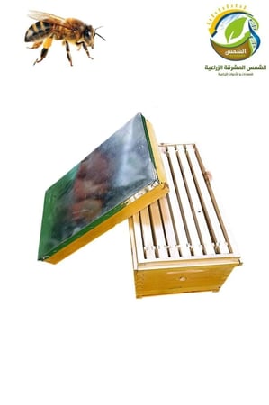 خلية نحل فرنجي  بالبراويز مقاسات متعددة