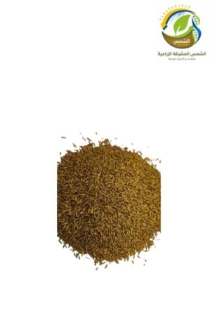 بذور نجيلة الماني بالكيلو