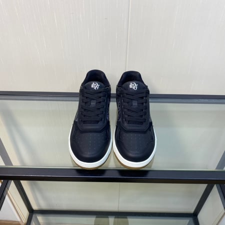 Dior B27 low