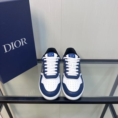 Dior B27 low