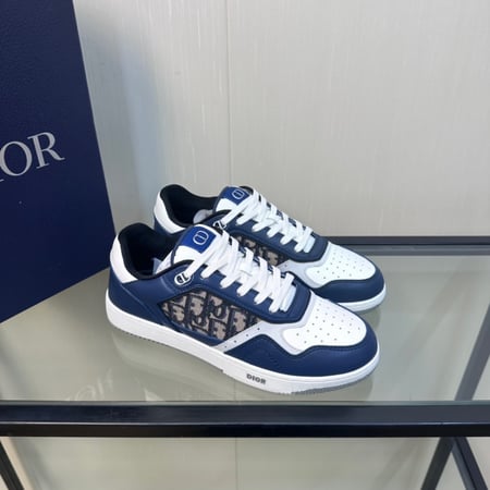 Dior B27 low
