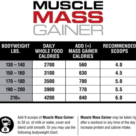 مصل ماس جينر - لابرادا | muscle mass gainer - labrada