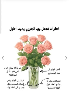 كريز وردي 10 اغصان