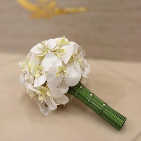 مسكة عروسة اوركيد