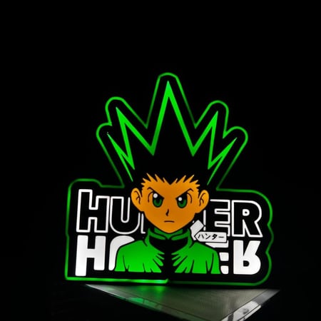 اضائة هانتر انمي