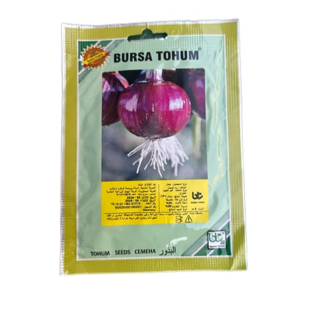 بذور بصل احمر تركي
