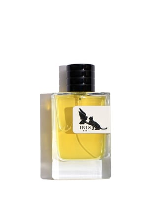 عطر نسائي أنجل ايرس