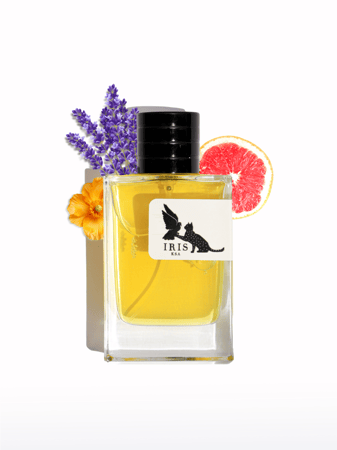 عطر نسائي أنجل ايرس
