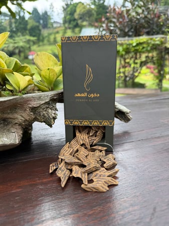 تايقر اندونيسيا سوبر