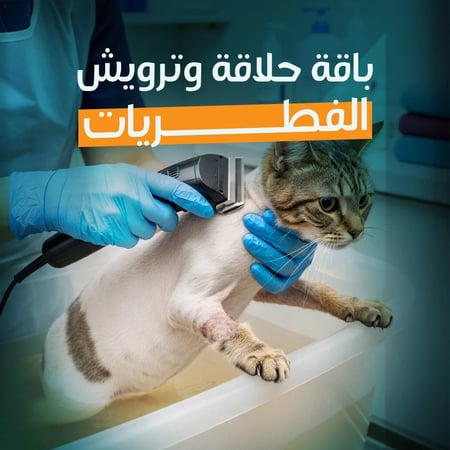 باقة حلاقة وترويش الفطريات