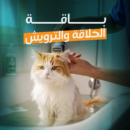 باقة الحلاقة والترويش