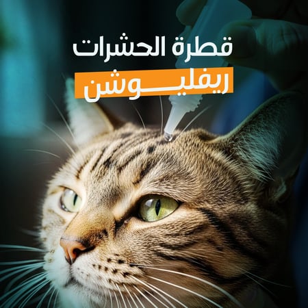 قطرة الحشرات (ريفليوشن)