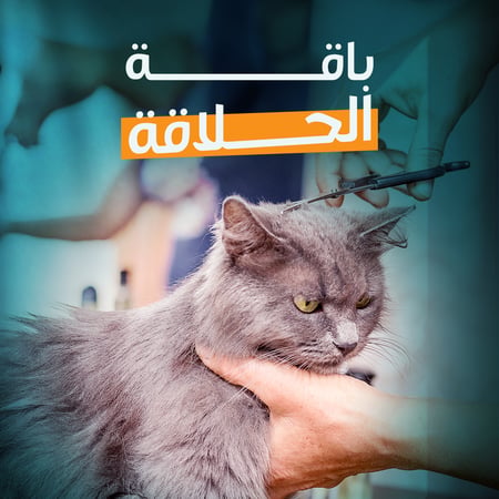 باقة الحلاقة