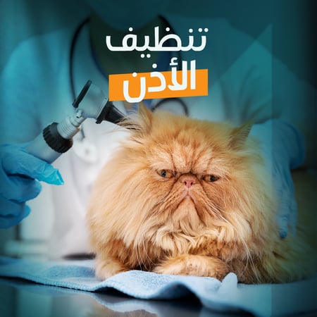 تنظيف الأذن
