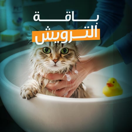 باقة الترويش