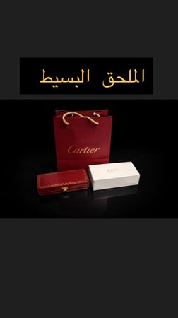 قلم كارتير فضي فاخر بنقشة متداخلة – تصميم كلاسيكي راقٍ