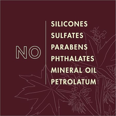 بلسم من شيا موستشر بالاخروع الاسود - 384 مل