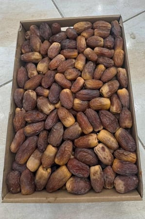 مجدول