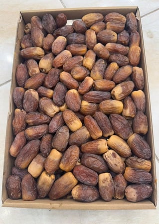 مجدول