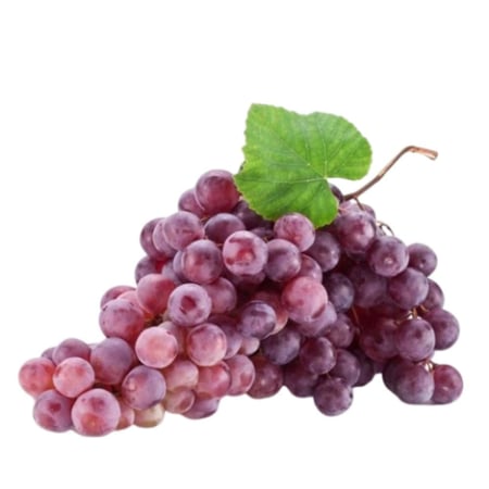عنب افريقي