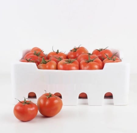 طماطم فلين كبير