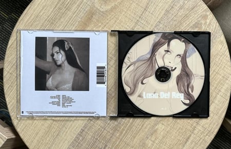 Lana Del Rey - Did you know that