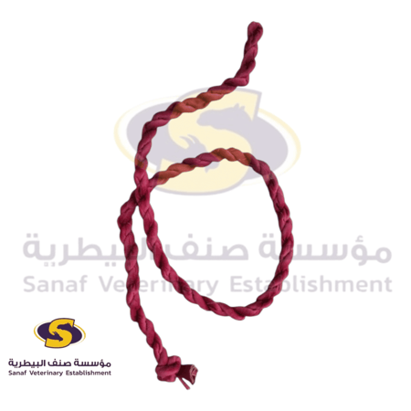 قيد قطن ملون للإبل