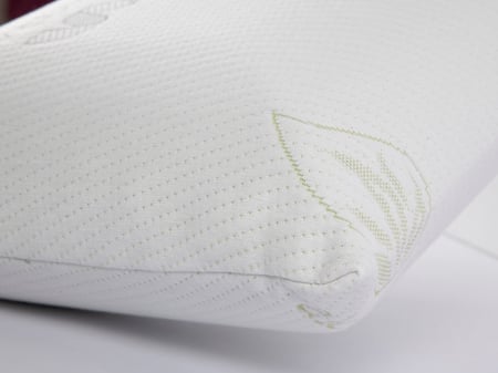 BIO GREEN مـخـدة مـورا بـالـصـبـار ضـد الألـم