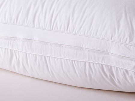 تـفـاصـيـل عـن قـرب