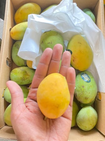 عرض 3 كراتين مانجو فص