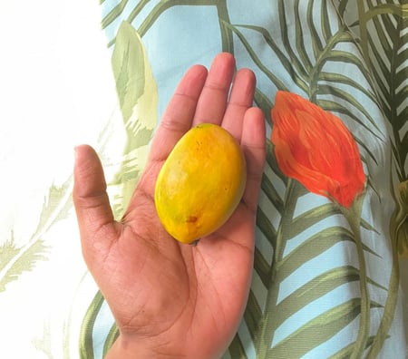 عرض 3 كراتين مانجو فص
