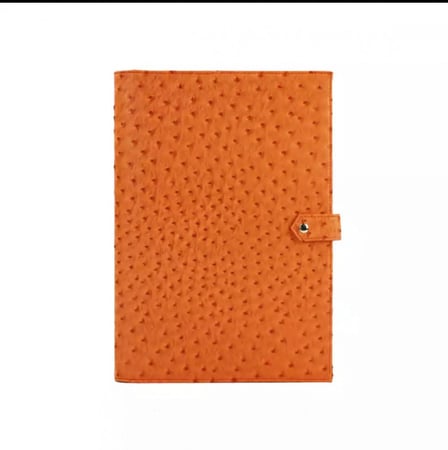 باوتش ايباد