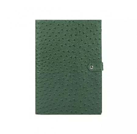 باوتش ايباد