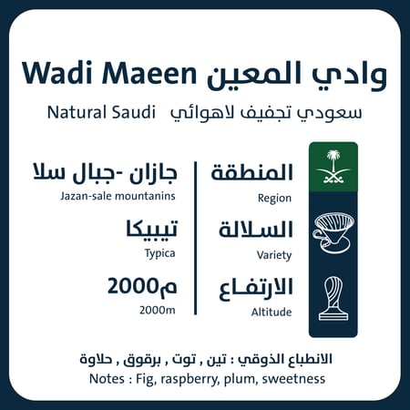 وادي المعين - جازان 250G