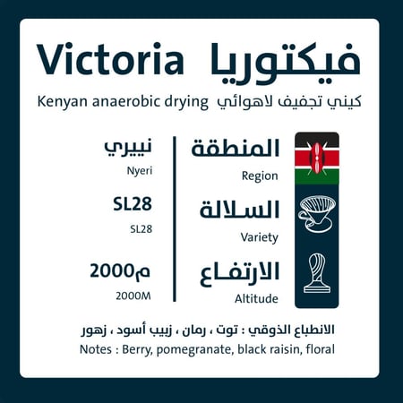 فيكتوريا - كينيا 1KG