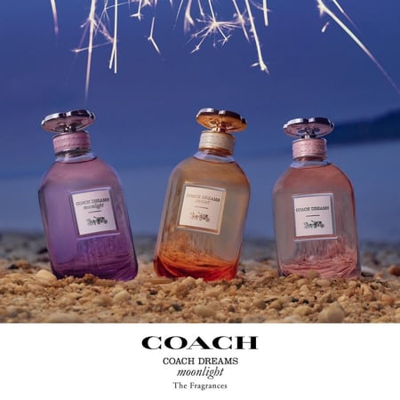 Coach Dreams Moonlight Coach