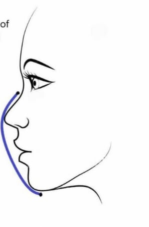 طريقه الفايس