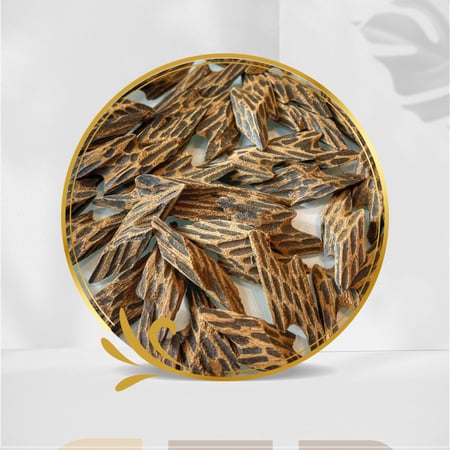 ود كمبودي محسن تايقر