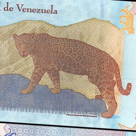 فنزويلا فئة 20 بوليفار أنسر