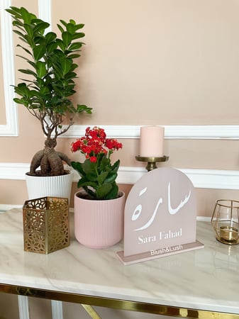 ستاند طاولة اكريلك ملون كامل