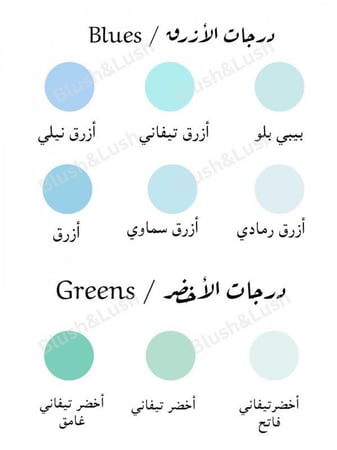 بكج استقبال عساف(3)
