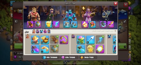 قرية تاون هول 13